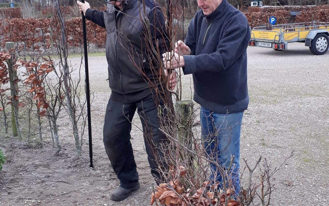 De Groene Motor en Zelf doen in het groen 21 februari