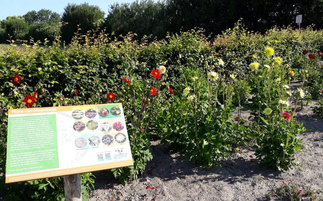 Nieuwe informatieborden langs Wandelroute Veldzicht