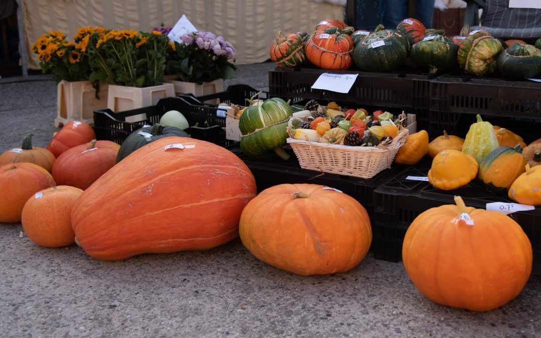 POMPOENMARKT STREEKMUSEUM VELDZICHT NOORDWIJK