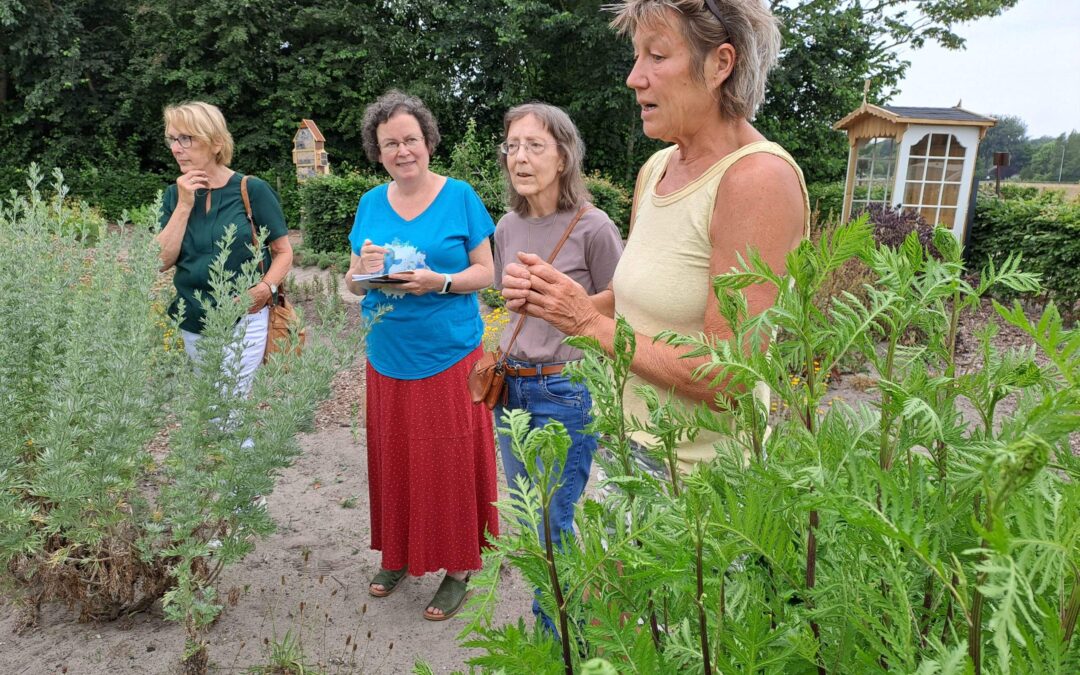 Workshops Nazomerkruiden