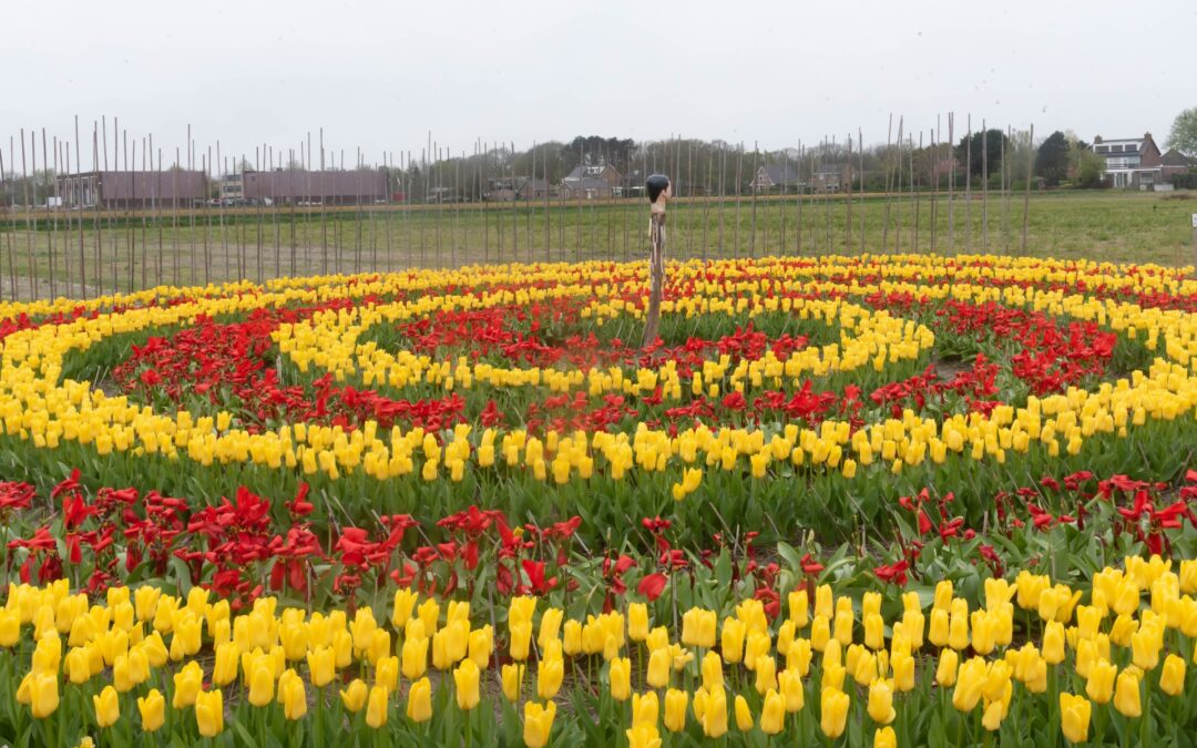 Onthulling kunstwerk