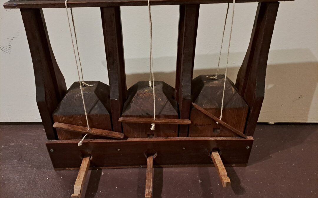 Foto van de maand: muizenval