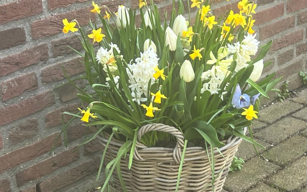 Workshop Manden vullen met bloembollen