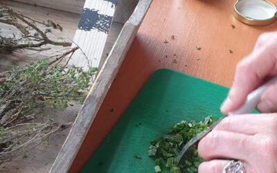 Workshop Voorjaarskruiden