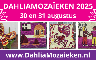 Dahlia Mozaïeken Bollenstreek
