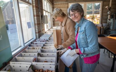 Bloembollen, bollenmanden en boeketten