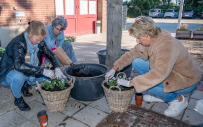 Workshop Manden vullen met bloembollen